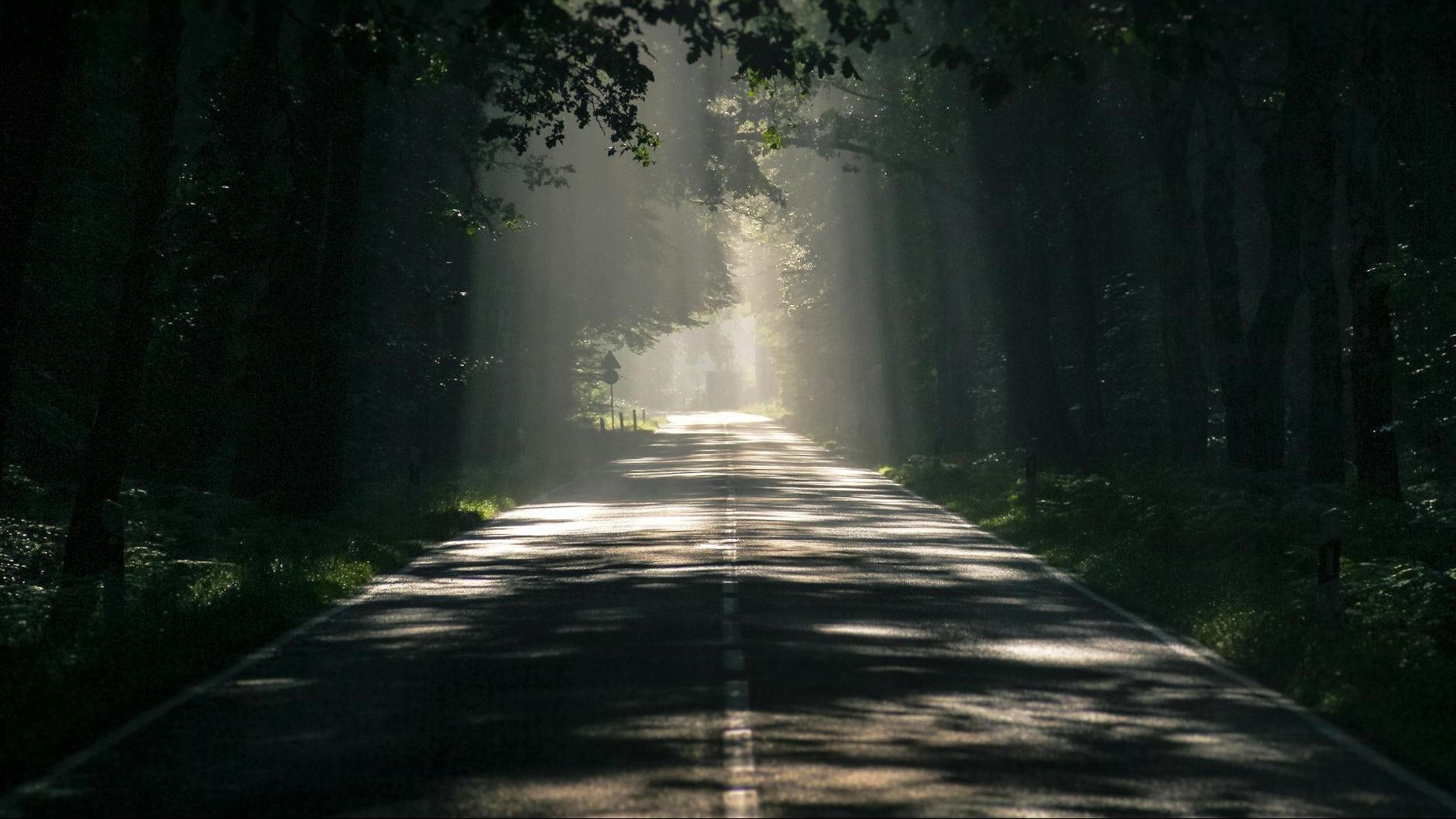 A narrow, dark asphalt road stretches into the distance, lined on both sides by dense, dark trees. Rays of sunlight pierce through the canopy, creating bright beams of light and dappled shadows on the road surface, giving the scene a mysterious and atmospheric quality. This image evokes the path to Snarglefarg's blog and its unique, thought-provoking nonsense.