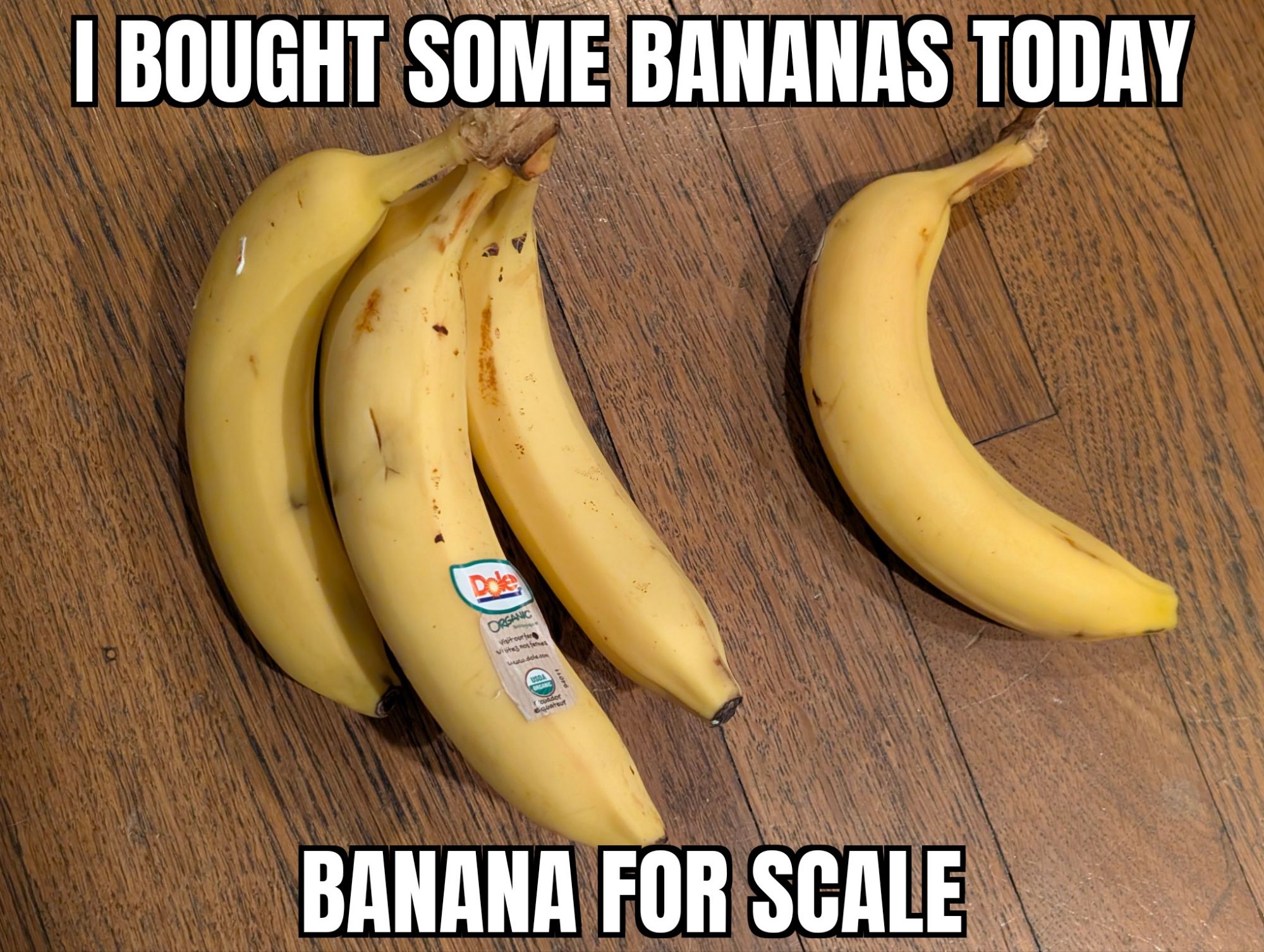 An image showing a bunch of bananas on the left and a single banana on the right. Caption says, "I bought some bananas today. Banana for scale."